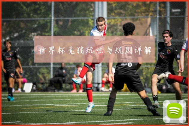 世界杯竞猜玩法与规则详解