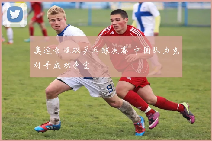 奥运会混双乒乓球决赛 中国队力克对手成功夺金