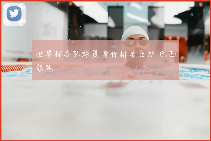 世界杯各队球员身价排名出炉 巴西领跑