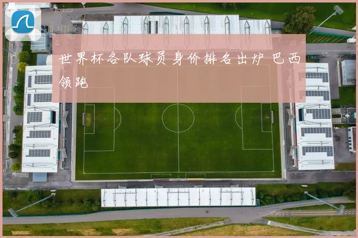 世界杯各队球员身价排名出炉 巴西领跑