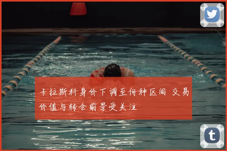 卡拉斯科身价下调至何种区间 交易价值与转会前景受关注