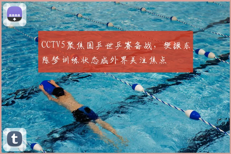 CCTV5聚焦国乒世乒赛备战，樊振东陈梦训练状态成外界关注焦点